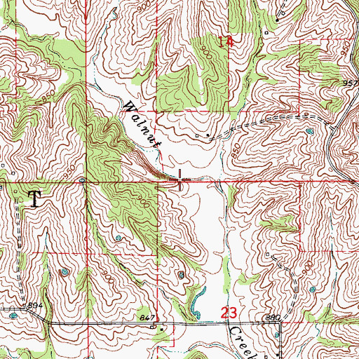 Topographic Map of Township of Walnut, MO