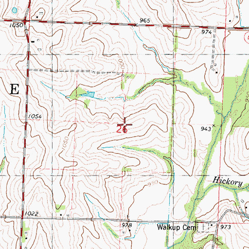 Topographic Map of Township of Dale, MO