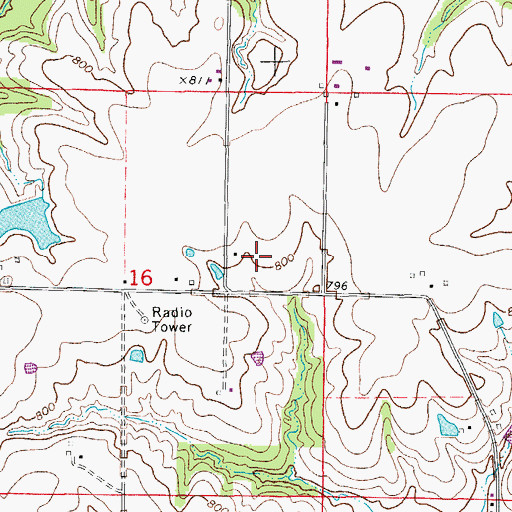Topographic Map of Township of Salt River, MO