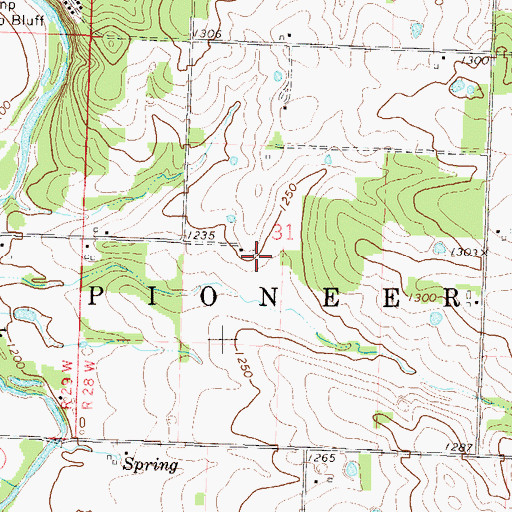 Topographic Map of Township of Pioneer, MO