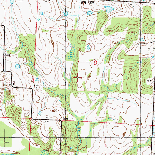Topographic Map of Township of Lone Oak, MO