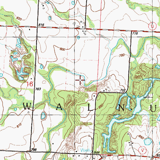 Topographic Map of Township of Walnut, MO