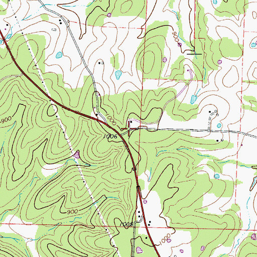 Topographic Map of Township of Fristoe, MO