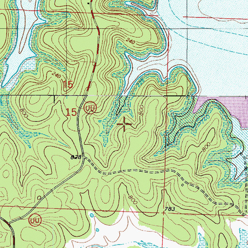 Topographic Map of Township of Tom, MO