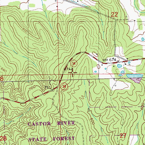 Topographic Map of Township of Filmore, MO