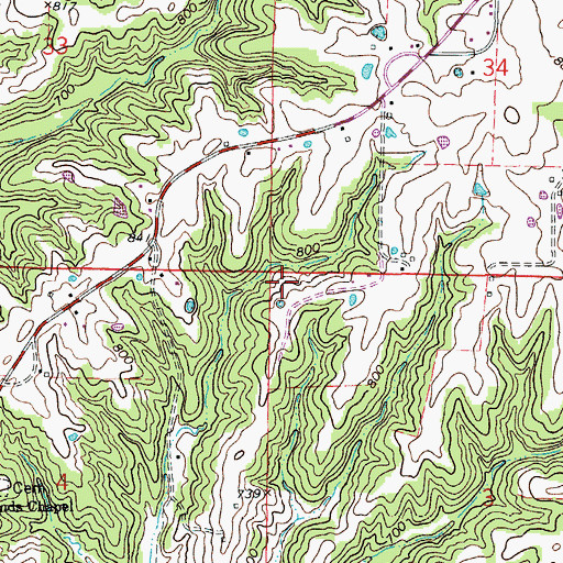Topographic Map of Township of Cedar, MO