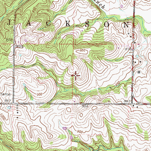 Topographic Map of Township of Jackson, MO