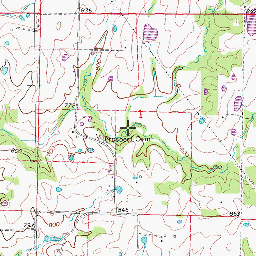 Topographic Map of Township of Cedar, MO