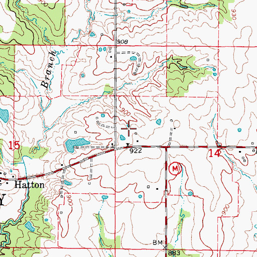 Topographic Map of Township of Liberty, MO
