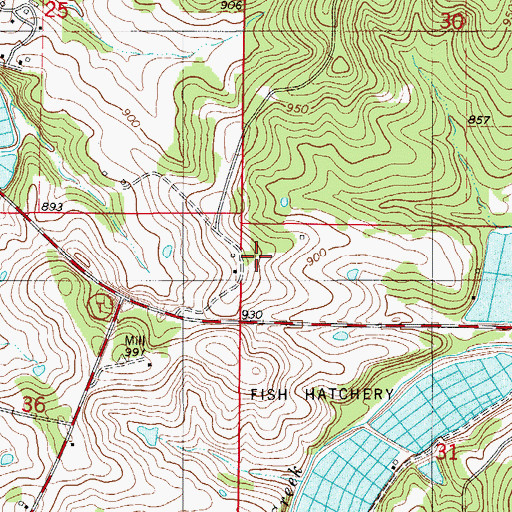 Topographic Map of Township of Auglaize, MO