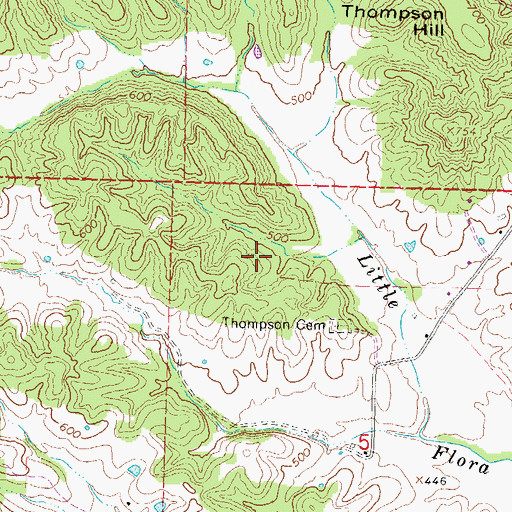 Topographic Map of Township of Randol, MO