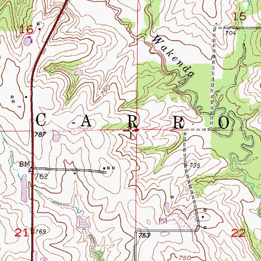Topographic Map of Township of Carrollton, MO