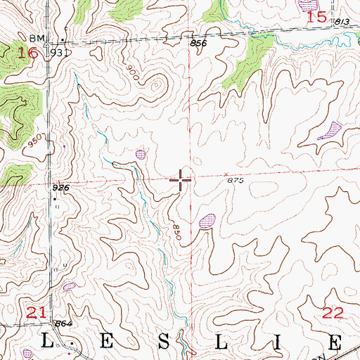 Topographic Map of Township of Leslie, MO