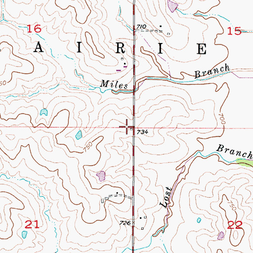 Topographic Map of Township of Prairie, MO