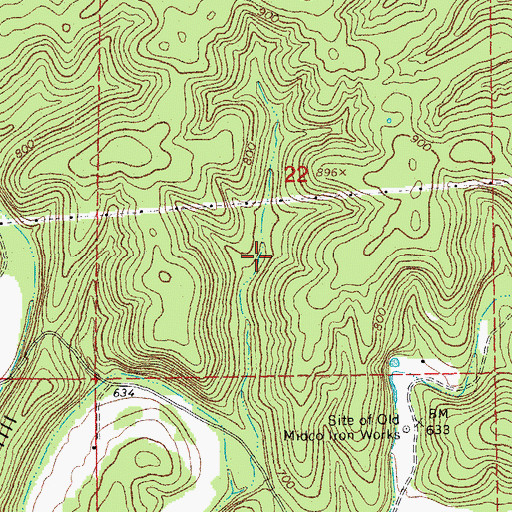 Topographic Map of Township of Pike, MO