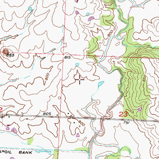 Topographic Map of Township of Austin, MO