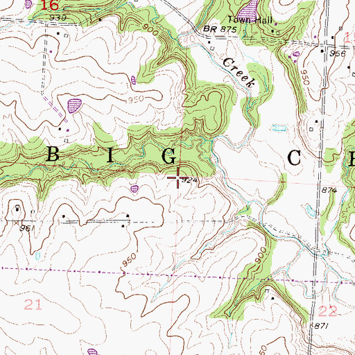Topographic Map of Township of Big Creek, MO