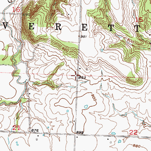 Topographic Map of Township of Everett, MO