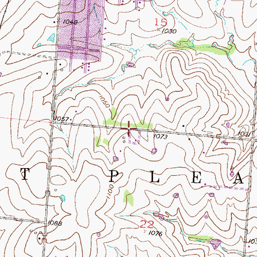 Topographic Map of Township of Mount Pleasant, MO