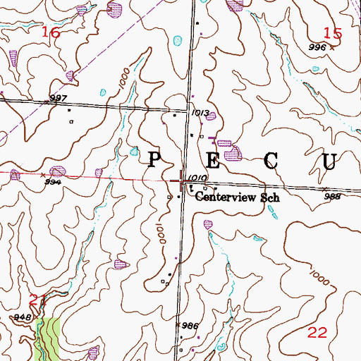 Topographic Map of Township of Peculiar, MO