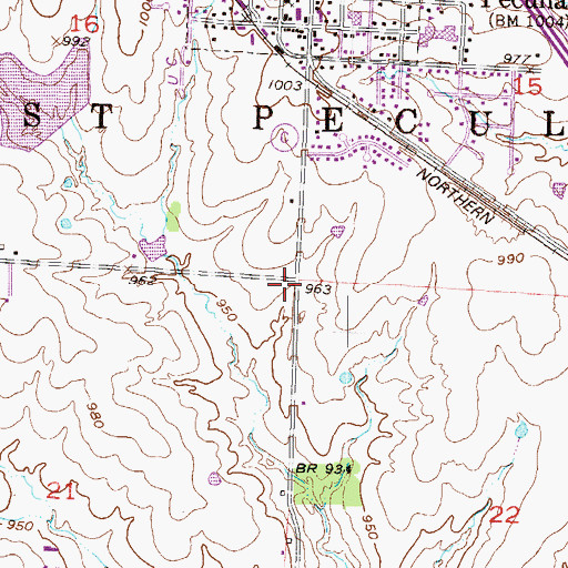 Topographic Map of Township of West Peculiar, MO