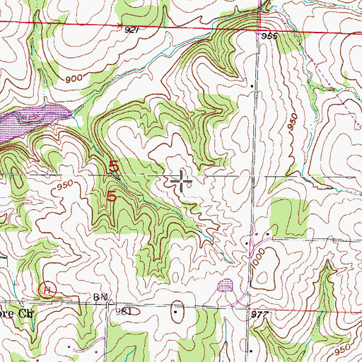 Topographic Map of Township of Madison, MO