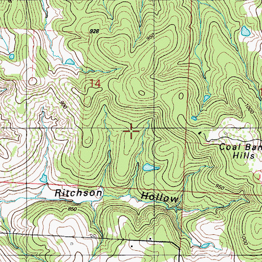 Topographic Map of Township of Washington, MO