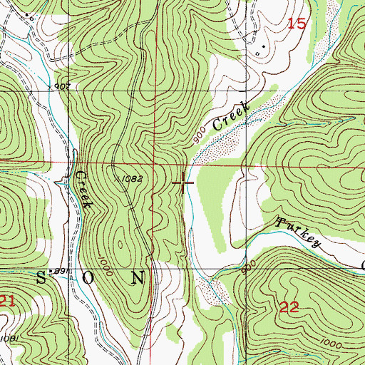 Topographic Map of Township of Garrison, MO