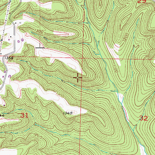 Topographic Map of Township of North Linn, MO