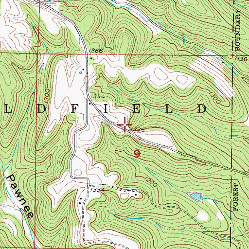 Topographic Map of Township of Oldfield, MO
