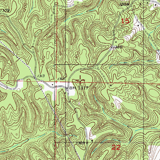 Topographic Map of Township of South Linn, MO