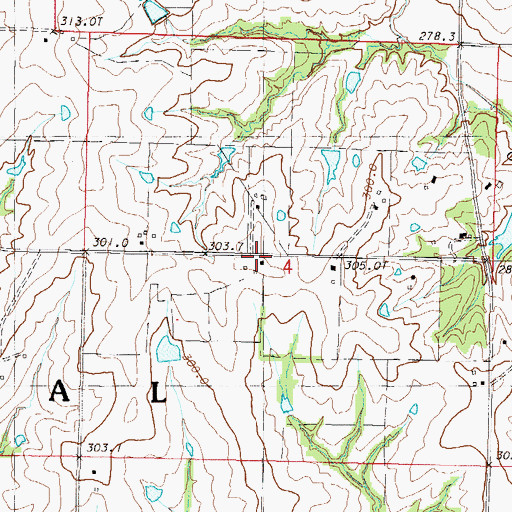 Topographic Map of Township of Shoal, MO