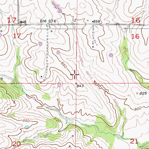 Topographic Map of Township of Kelly, MO