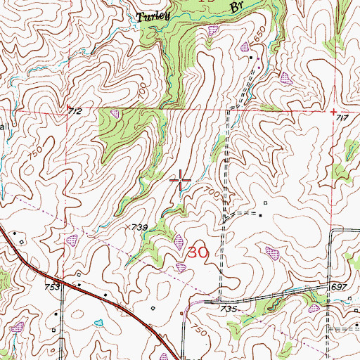 Topographic Map of Township of Lamine, MO
