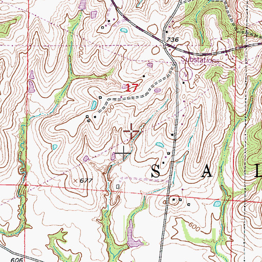 Topographic Map of Township of Saline, MO