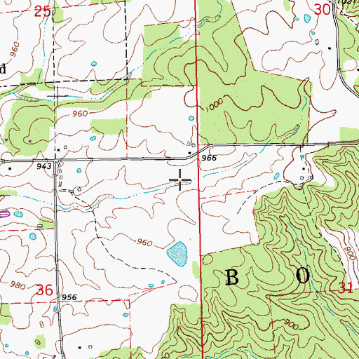 Topographic Map of Township of Boone, MO