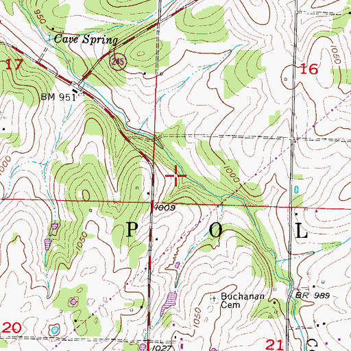 Topographic Map of Township of Polk, MO