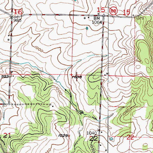 Topographic Map of Township of Lincoln, MO
