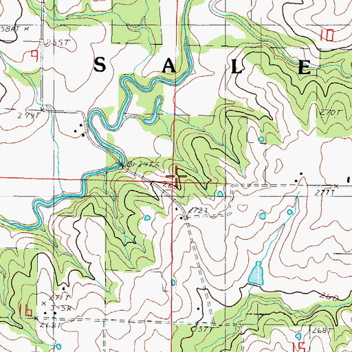 Topographic Map of Township of Salem, MO