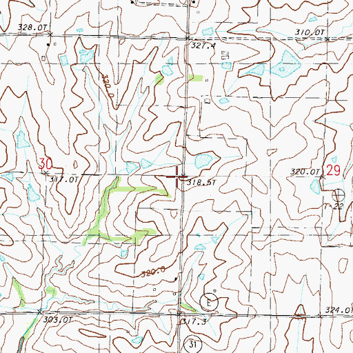 Topographic Map of Township of Polk, MO
