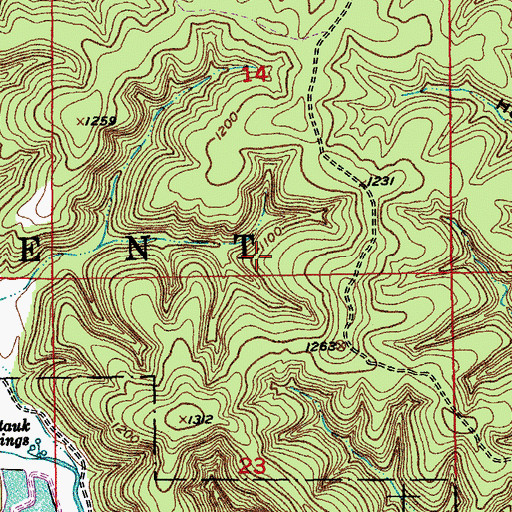 Topographic Map of Township of Current, MO