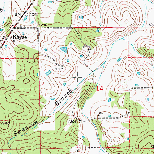 Topographic Map of Township of Texas, MO