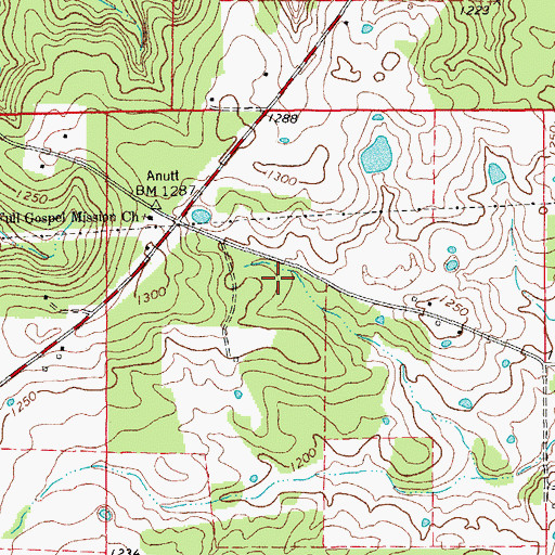 Topographic Map of Township of Watkins, MO