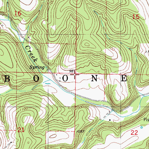 Topographic Map of Township of Boone, MO