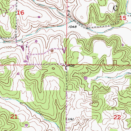 Topographic Map of Township of Cass, MO