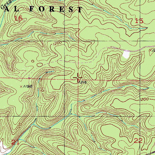 Topographic Map of Township of Clinton, MO