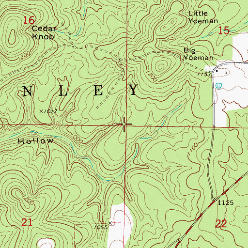 Topographic Map of Township of McKinley, MO