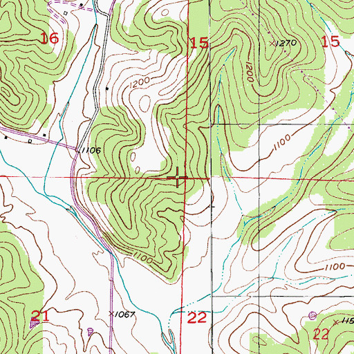 Topographic Map of Township of Wood, MO