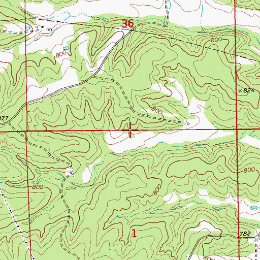 Topographic Map of Township of Boeuf, MO
