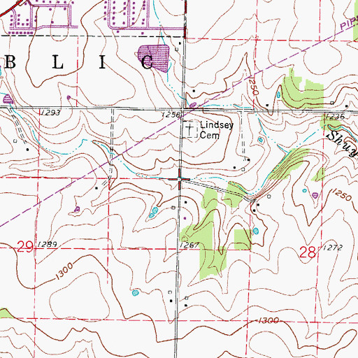 Topographic Map of Township of East Republic, MO